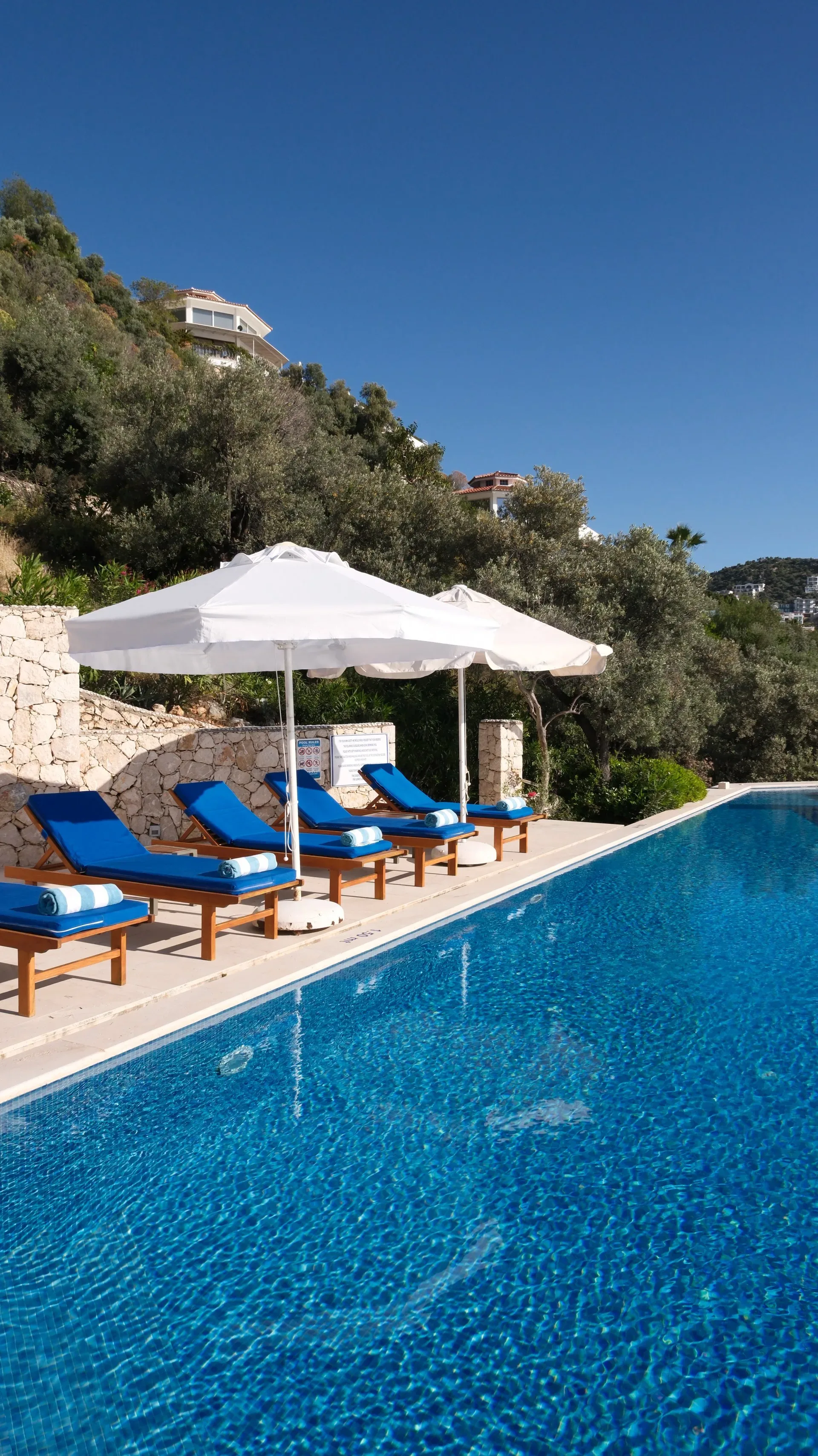 Infinity Pool